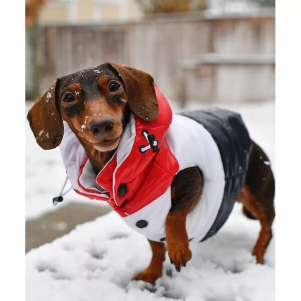 Hooded Puffer Life Vest - Image 2