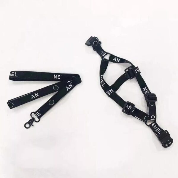 Chewnel Dog Leash Set - Image 2