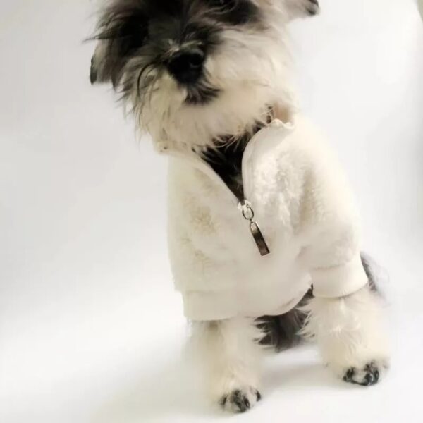 Wool Zip Coat - Image 2