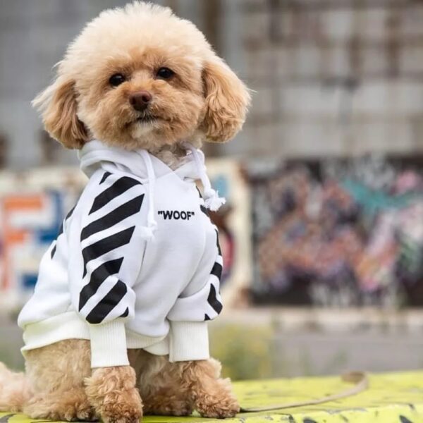 Woof Hoodie - Image 2