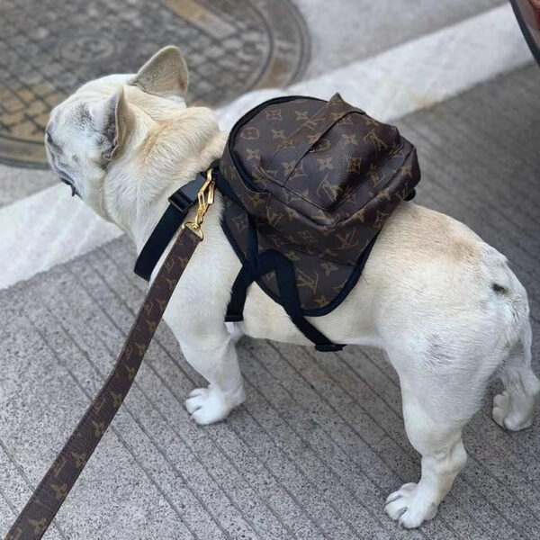 Louie Dog Backpack Harness and Leash Set - Image 8
