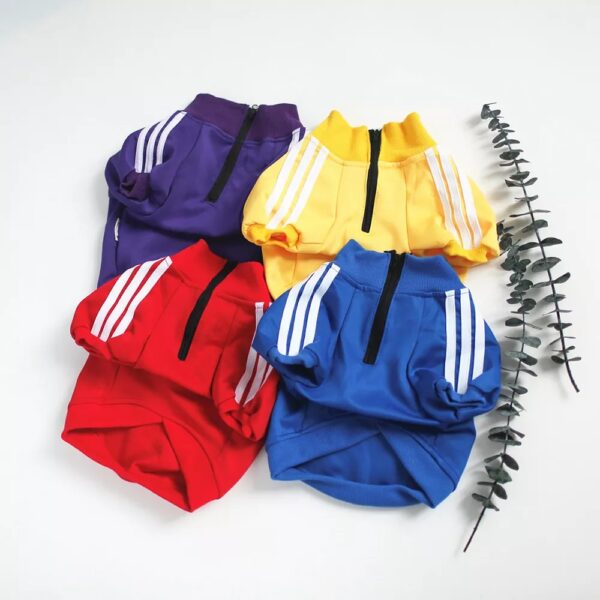 Track Jacket - Image 2
