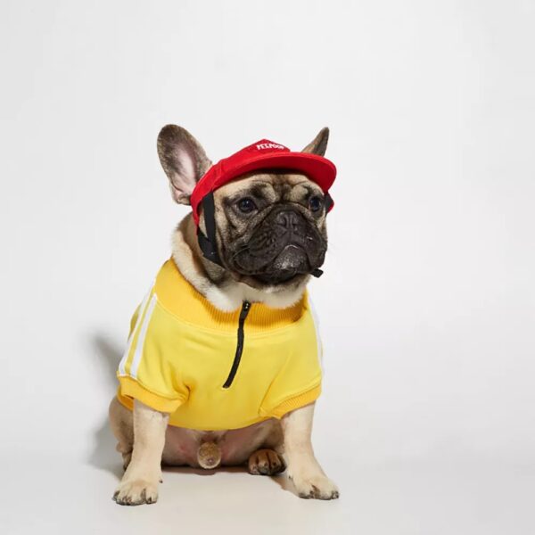 Track Jacket - Image 4