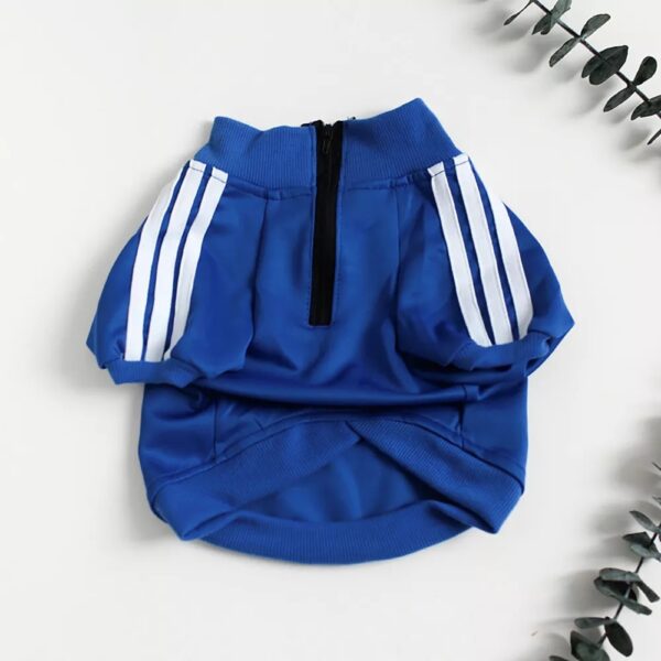 Track Jacket - Image 6