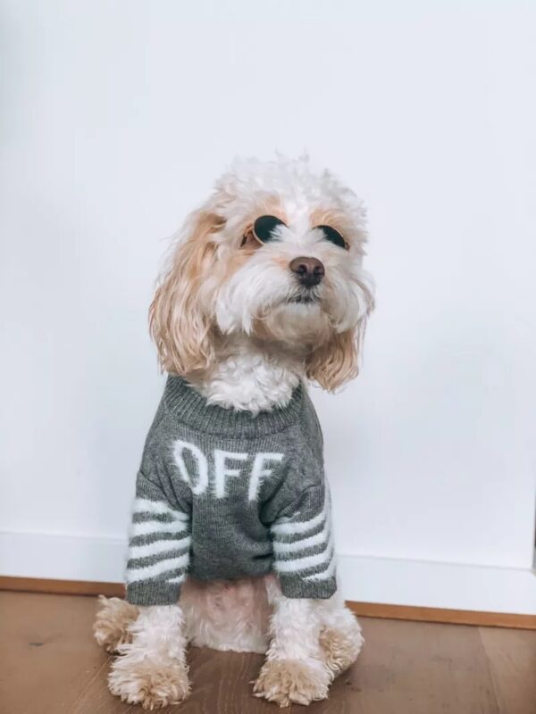 Off White Wool Sweater - Image 3
