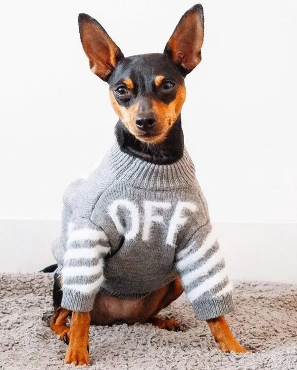 Off White Wool Sweater - Image 4