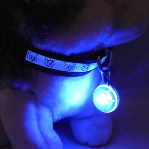 Pet Collar Pendant LED