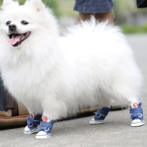 Pet Lovoyager Baseball Shoes - Image 4