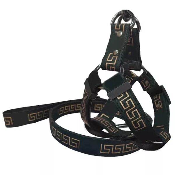 Barksace Harness and Leash Set - Image 4