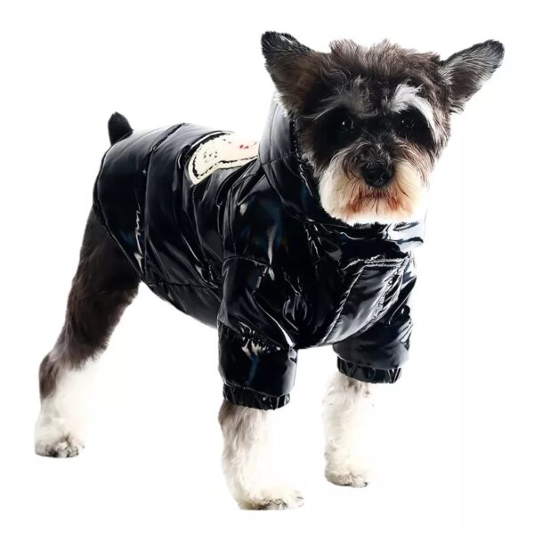 Moncler Winter Coat - Image 2