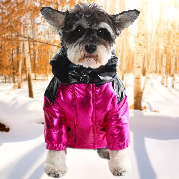 Moncler Winter Coat - Image 3
