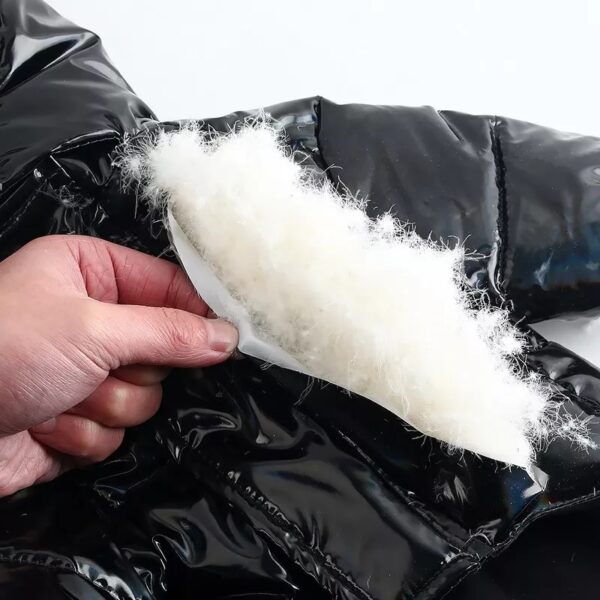 Moncler Winter Coat - Image 4