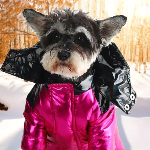 Moncler Winter Coat - Image 6