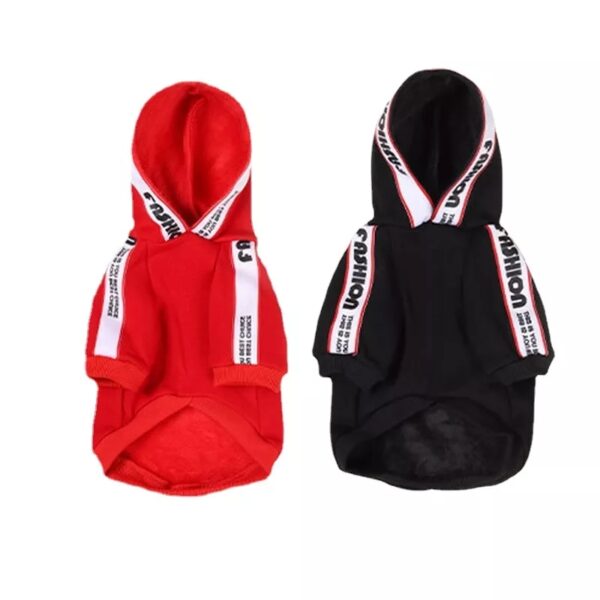 Fashion Hoodie