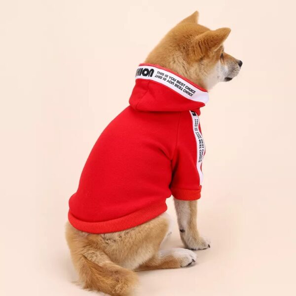 Fashion Hoodie - Image 5