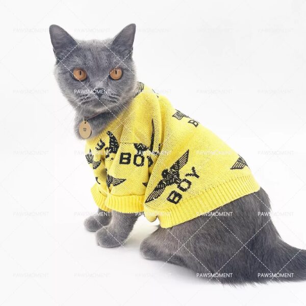 Yellow Knit Boy Sweater - Image 5