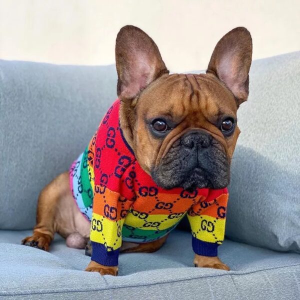 Rainbow Pucci Sweater - Image 2