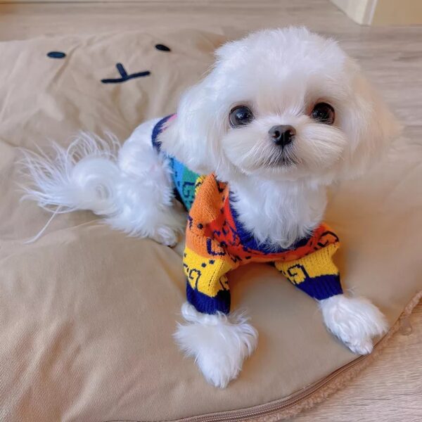 Rainbow Pucci Sweater - Image 3