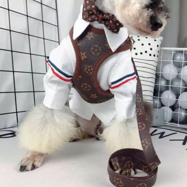 LV Leash and Harness Set - Image 6