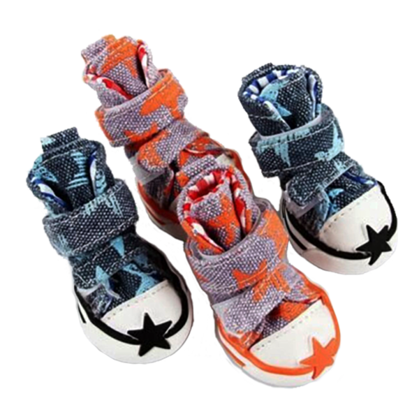 Dog Star Shoes