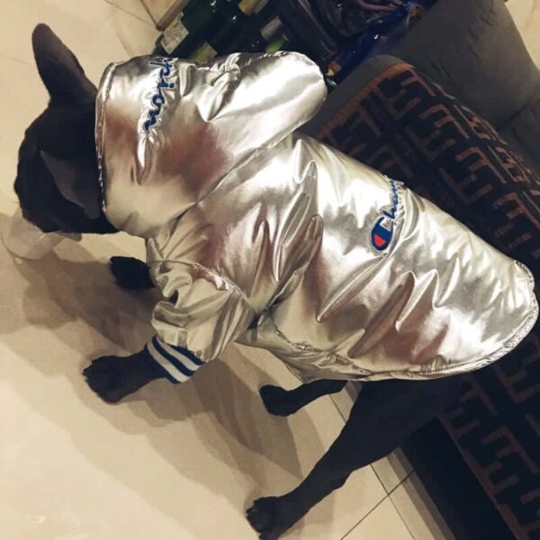 Silver Reflective Coat - Image 5
