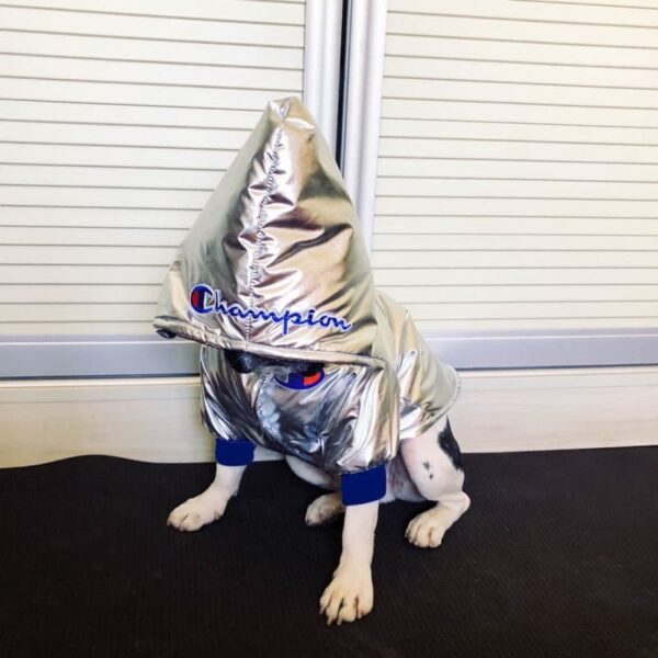 Silver Reflective Coat - Image 6