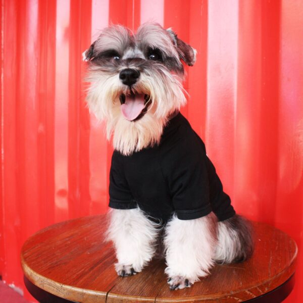 Givenchy Paris Shirt - Image 6