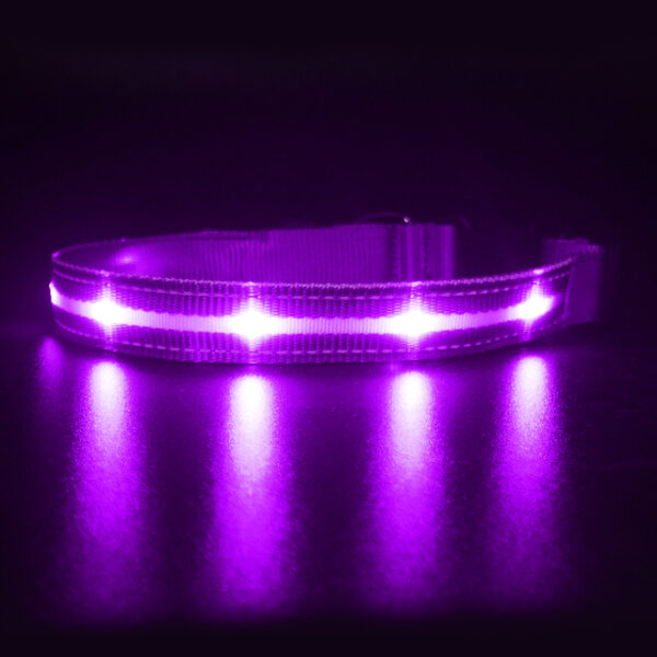 Glow Collar - Image 6