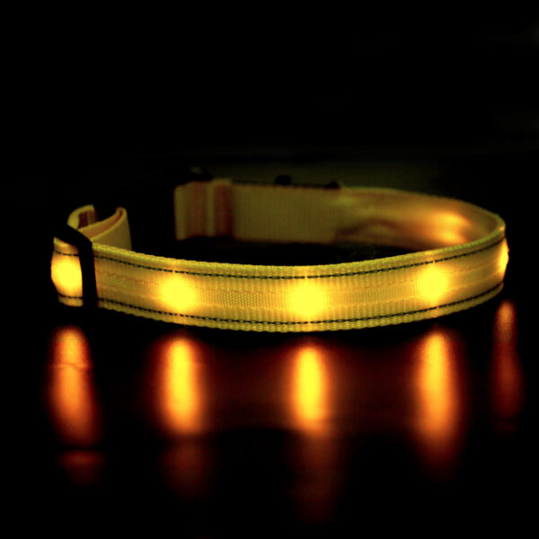 Glow Collar - Image 5