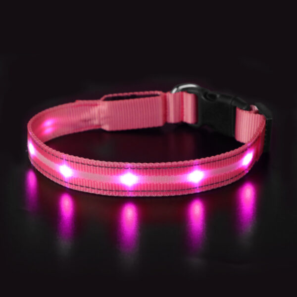 Glow Collar - Image 3