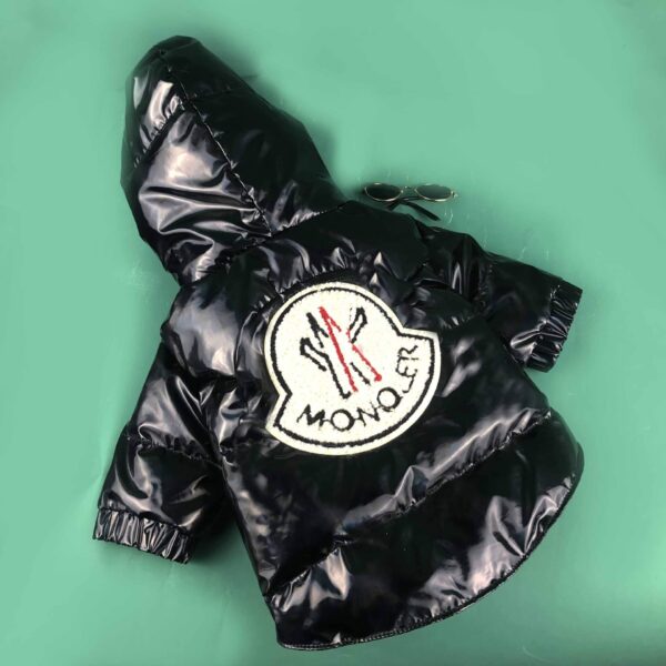 Moncler Winter Coat - Image 11