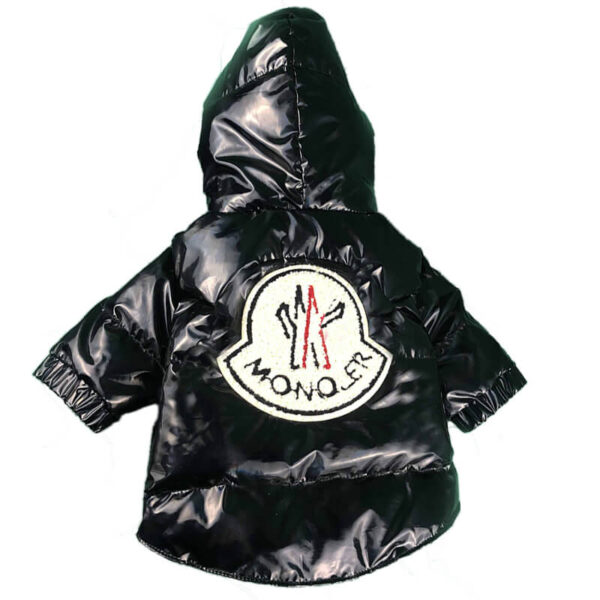 Moncler Winter Coat