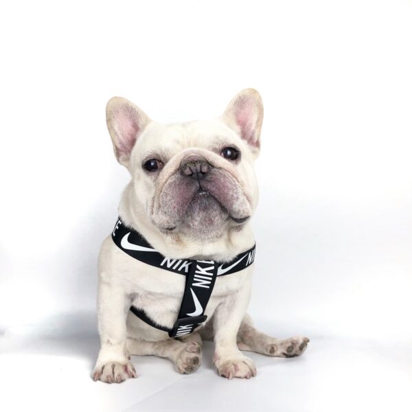 Nike Harness Leash Set - Image 14