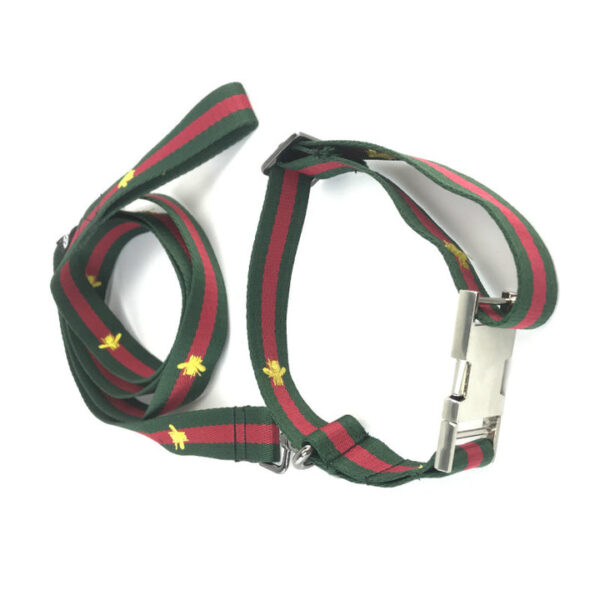 Pucci Seatbelt Collar and Leash Set