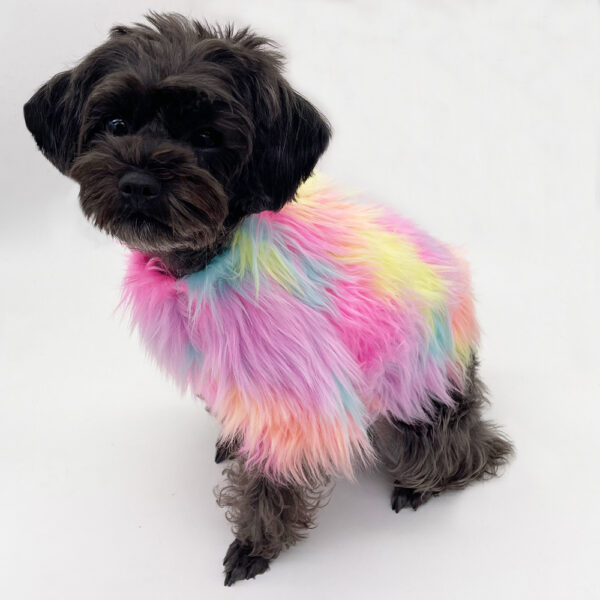 Rainbow Fur Sweater - Image 3