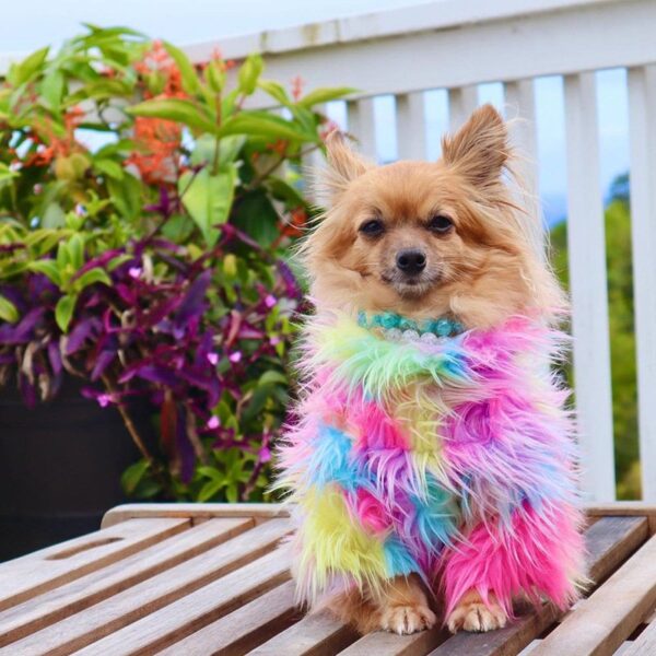 Rainbow Fur Sweater - Image 4