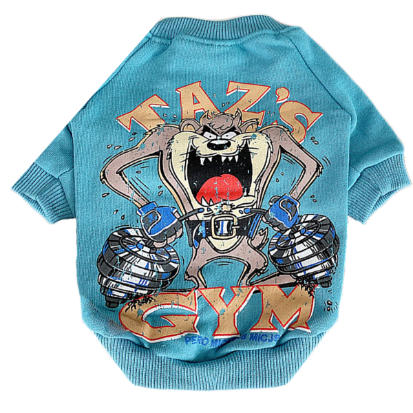 Taz Shirt