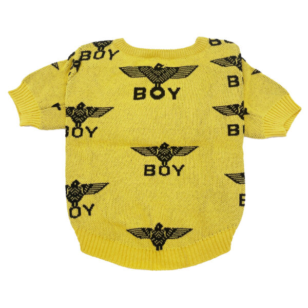 Yellow Knit Boy Sweater