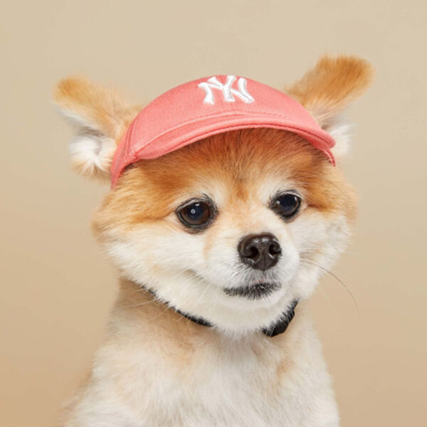 Baseball Cap - Image 2
