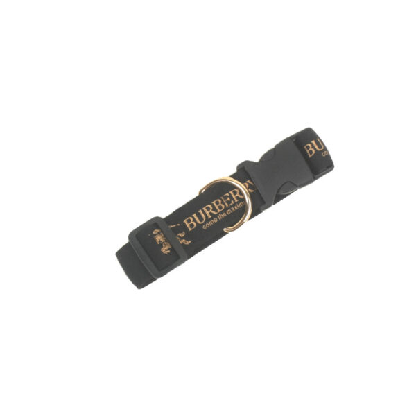 Barkberry Leash Set - Image 4