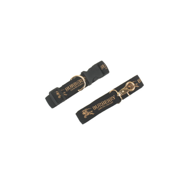 Barkberry Leash Set