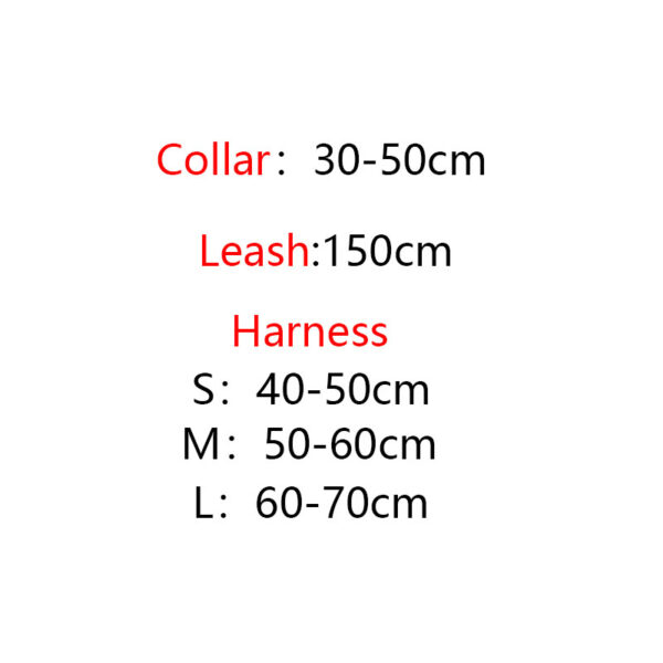 GG Leash Set - Image 7