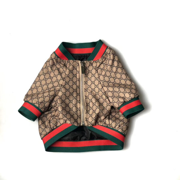 GG Snake Windbreaker Jacket - Image 3