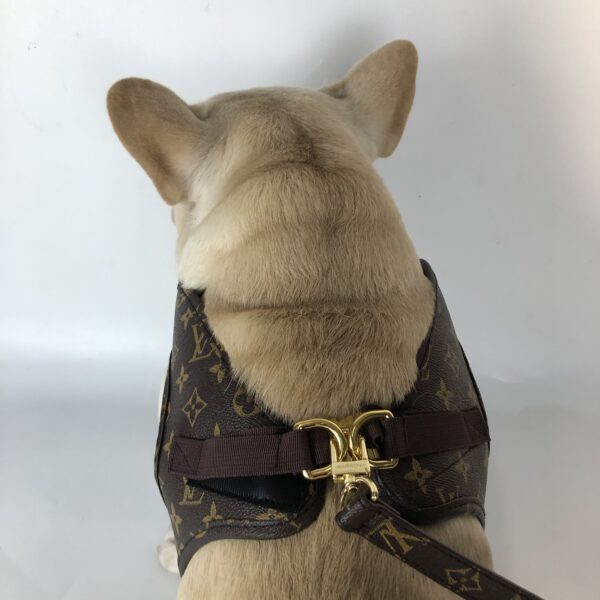 LV Harness and Leash Set - Image 2