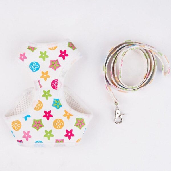 Summer LV Harness Sets - Image 2