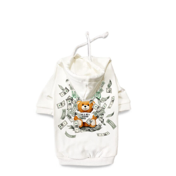 Money Bear - Image 5