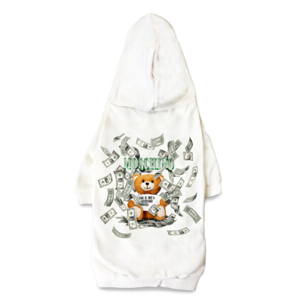 Money Bear - Image 4