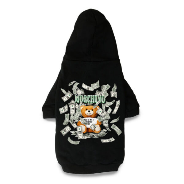 Money Bear - Image 2