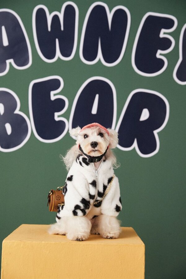 Paw Jacket - Image 10