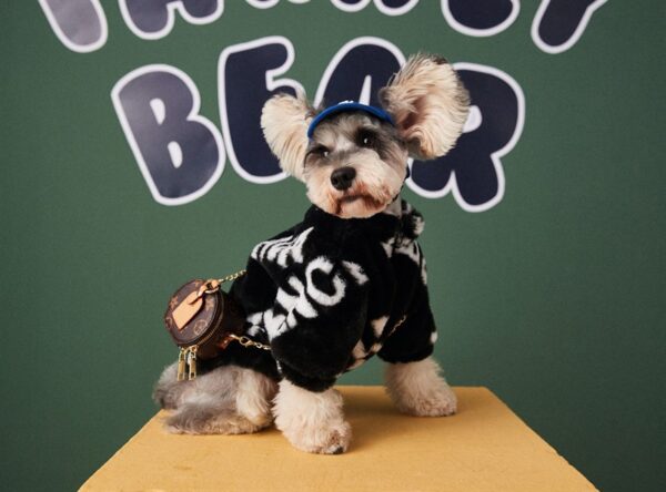 Paw Jacket - Image 6